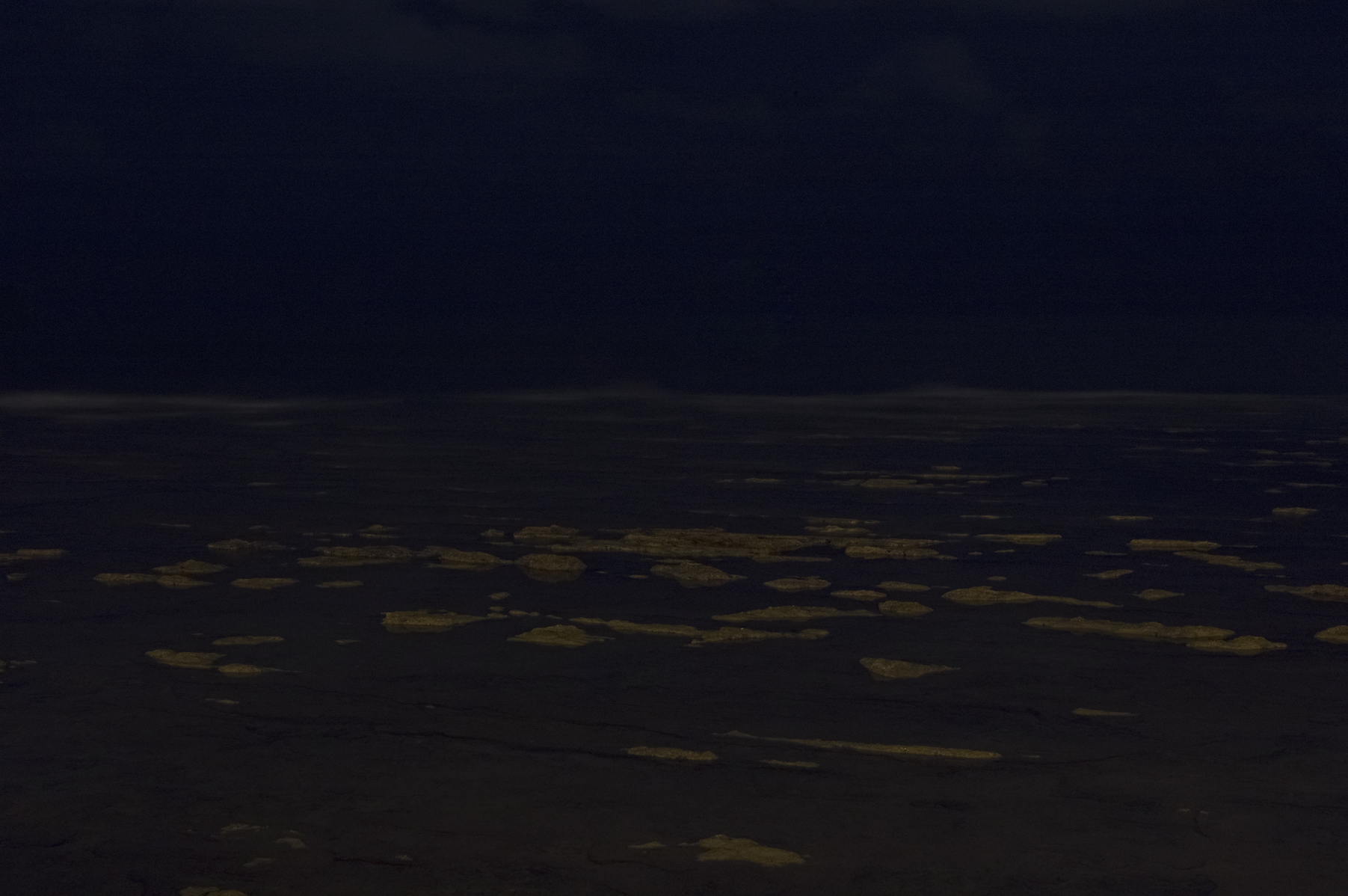 L1009909